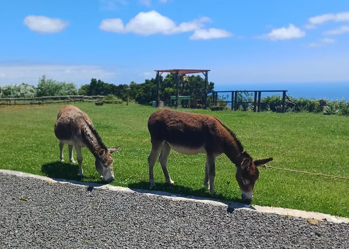 Σπίτι διακοπών Casita - Cantinho Do Paraiso