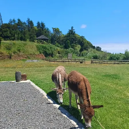 Casita - Cantinho Do Paraiso * Vila do Porto